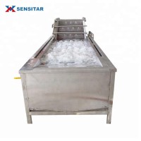 Hot Sale fruit and vegetable washing machine cleaning machine